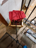 IMG_20231112_013803